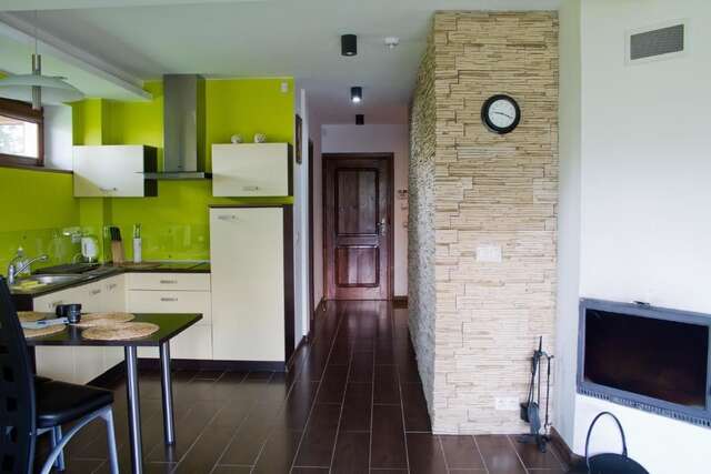 Апартаменты Apartament M5 Zakopane Закопане-59